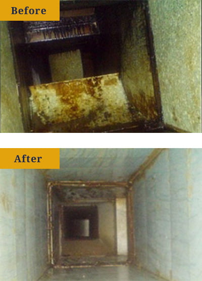 Before_After_3